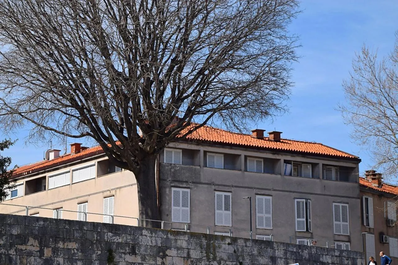 Apartment Corner Zadar Chorwacja